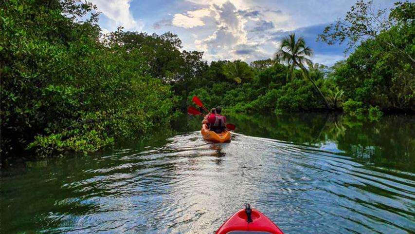 Aventuras Tropicales Golfo Dulce