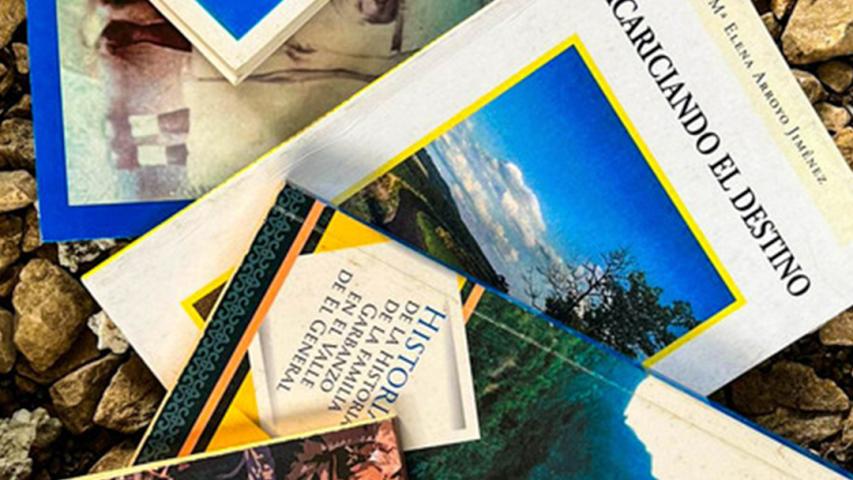 Asociación de Escritores y Editores de Pérez Zeledón