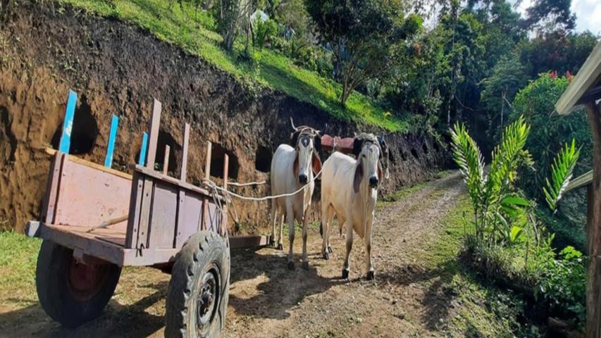 Asociación Mujeres Activas Fila Naranjo