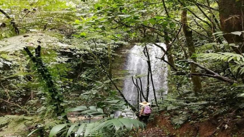 Asociación Mujeres Activas Fila Naranjo