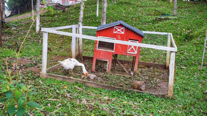 Eco Granja Educativa Broca