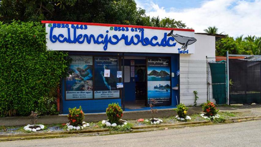 Ballena Jorobada Tour