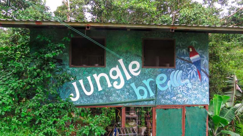 Jungle Brew Cervecería