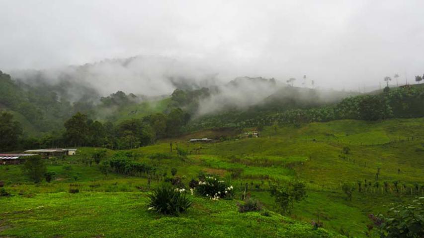 Finca La Bonanza
