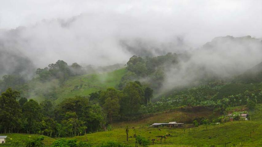 Finca La Bonanza