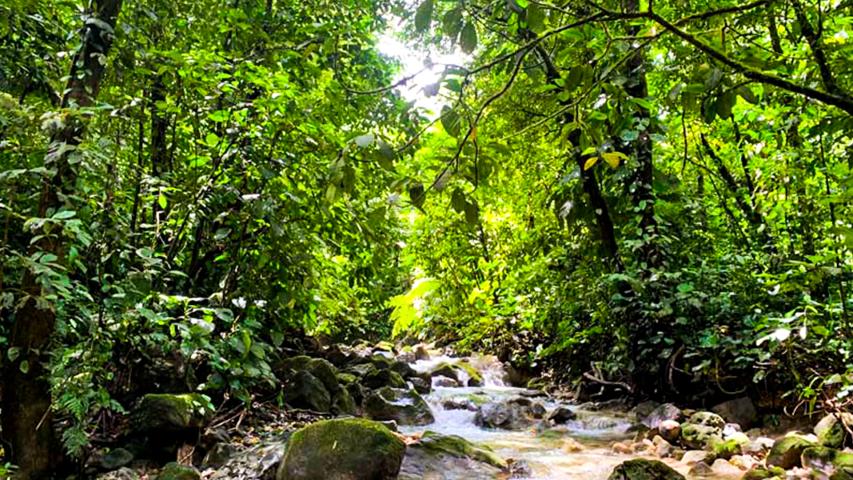 Rancho Tarascos