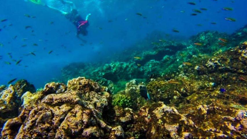 Caño Divers