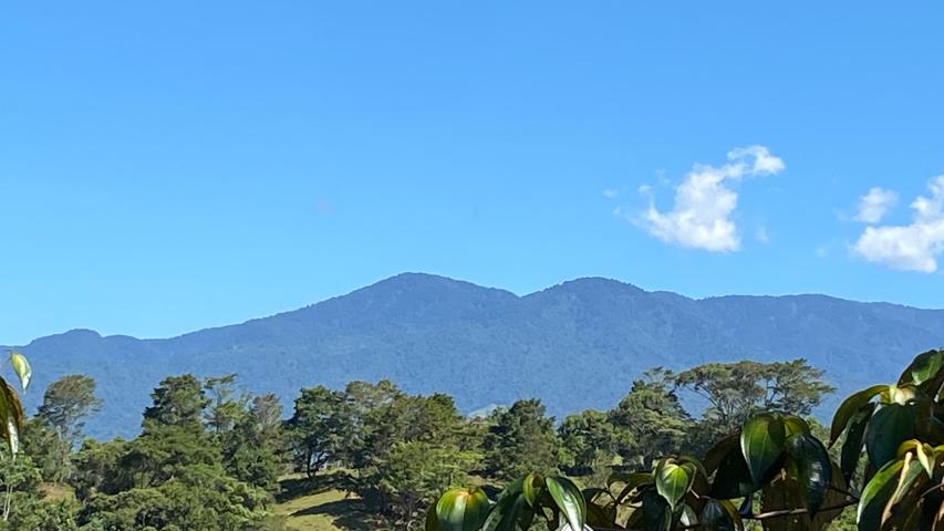 Asociación Mujeres Activas Fila Naranjo