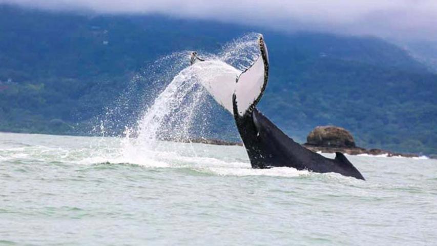 Bahía Aventuras