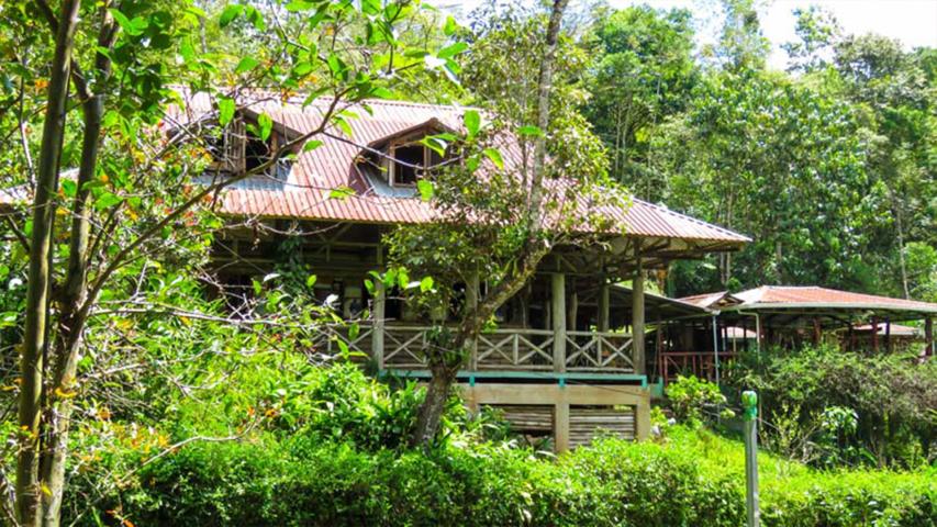 Asociación Montaña Verde