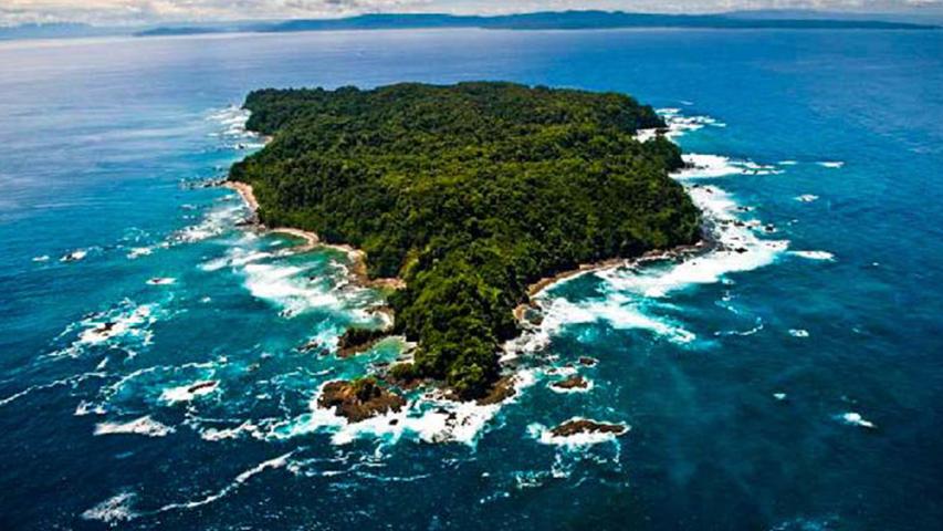 Tour Gaviotas de Osa