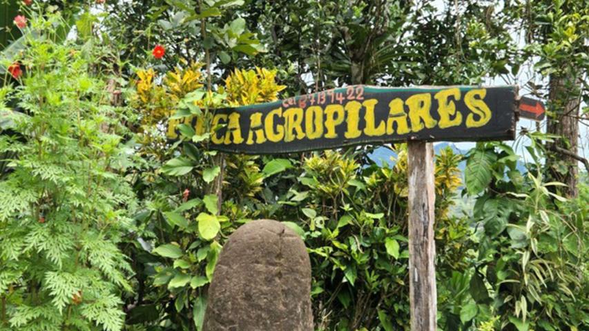 Finca Agroecológica Los Pilares