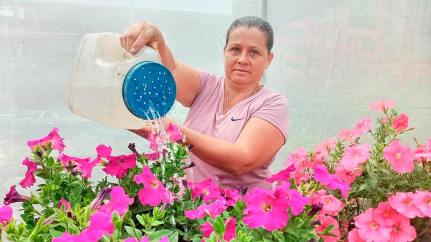Finca Girasol