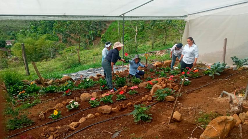 Finca Girasol